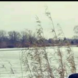 Meet your Posher, Kaley